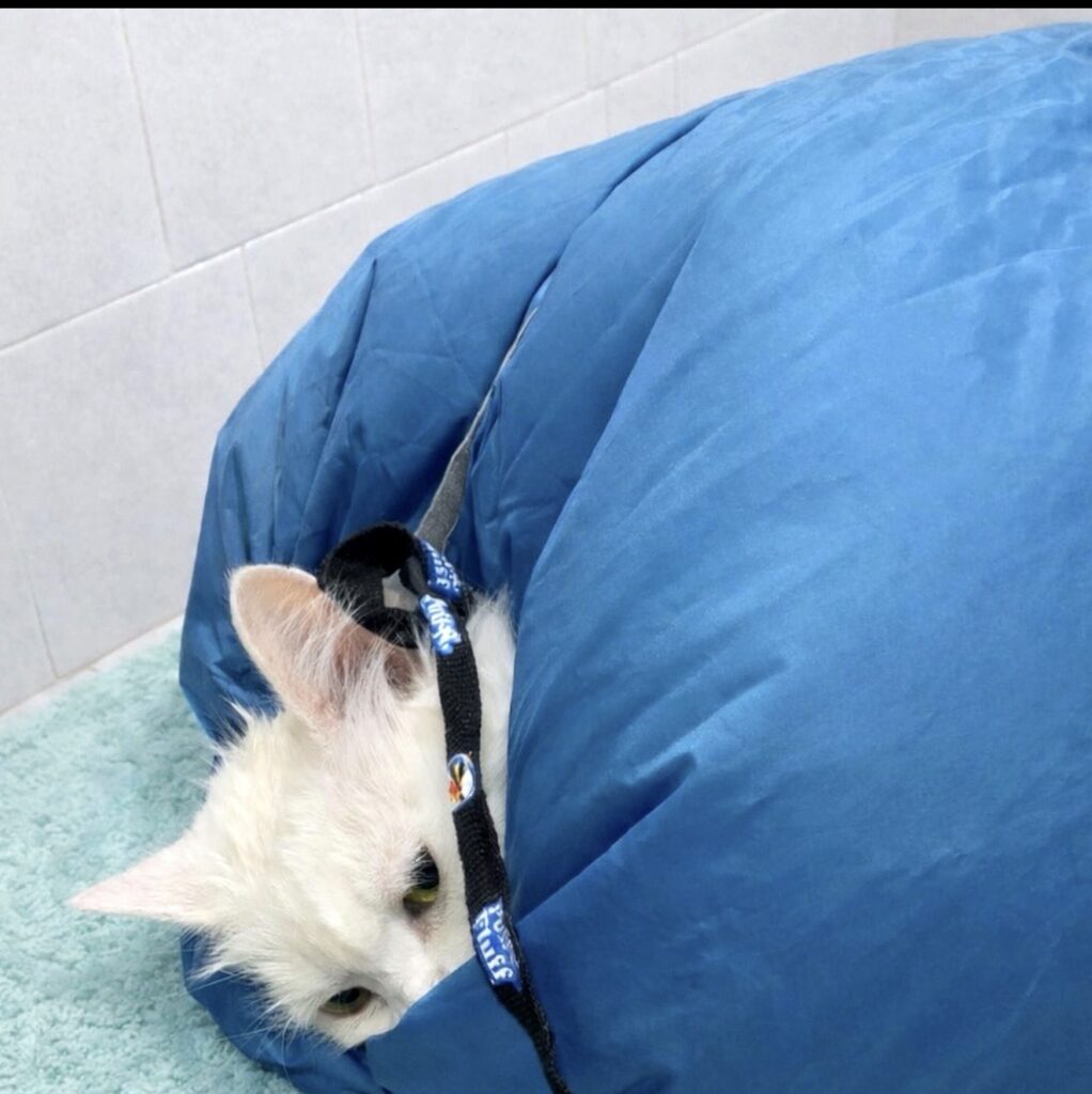 trattamenti specifici - Dog In Pet Center trattamenti specifici pelo cane nutrizione idratazione